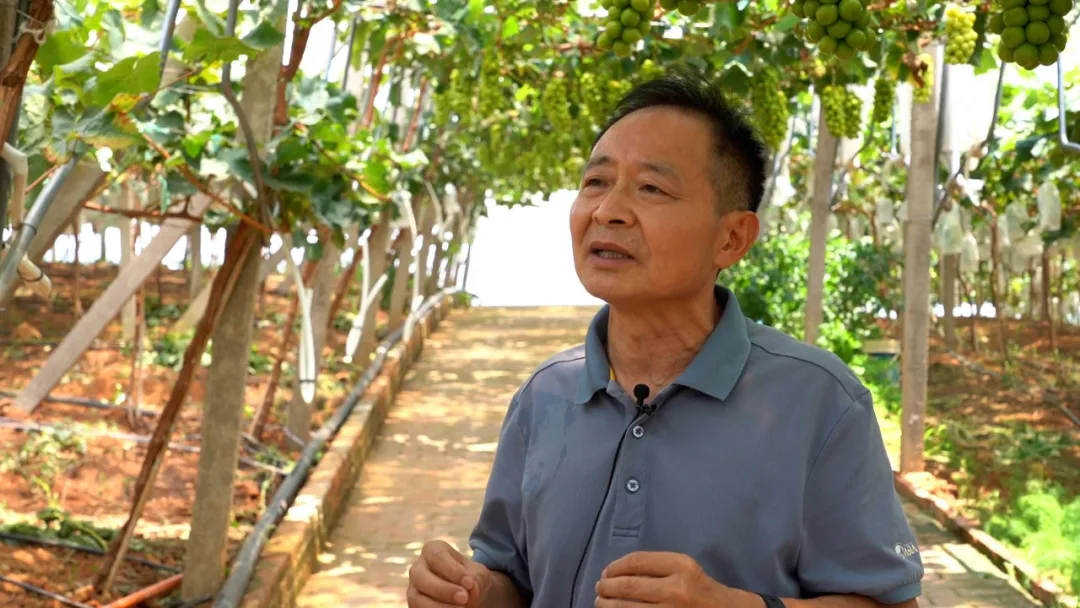 杭州亞運(yùn)會(huì)官方靈芝產(chǎn)品供應(yīng)商|杭州亞運(yùn)會(huì)官方供應(yīng)商|中國(guó)靈芝十大品牌|仙客來靈芝|仙客來靈芝破壁孢子粉|仙客來孢子油|仙客來靈芝飲片|仙客來破壁孢子粉|靈芝孢子油|孢子粉|靈芝破壁孢子粉|靈芝|中華老字號(hào)