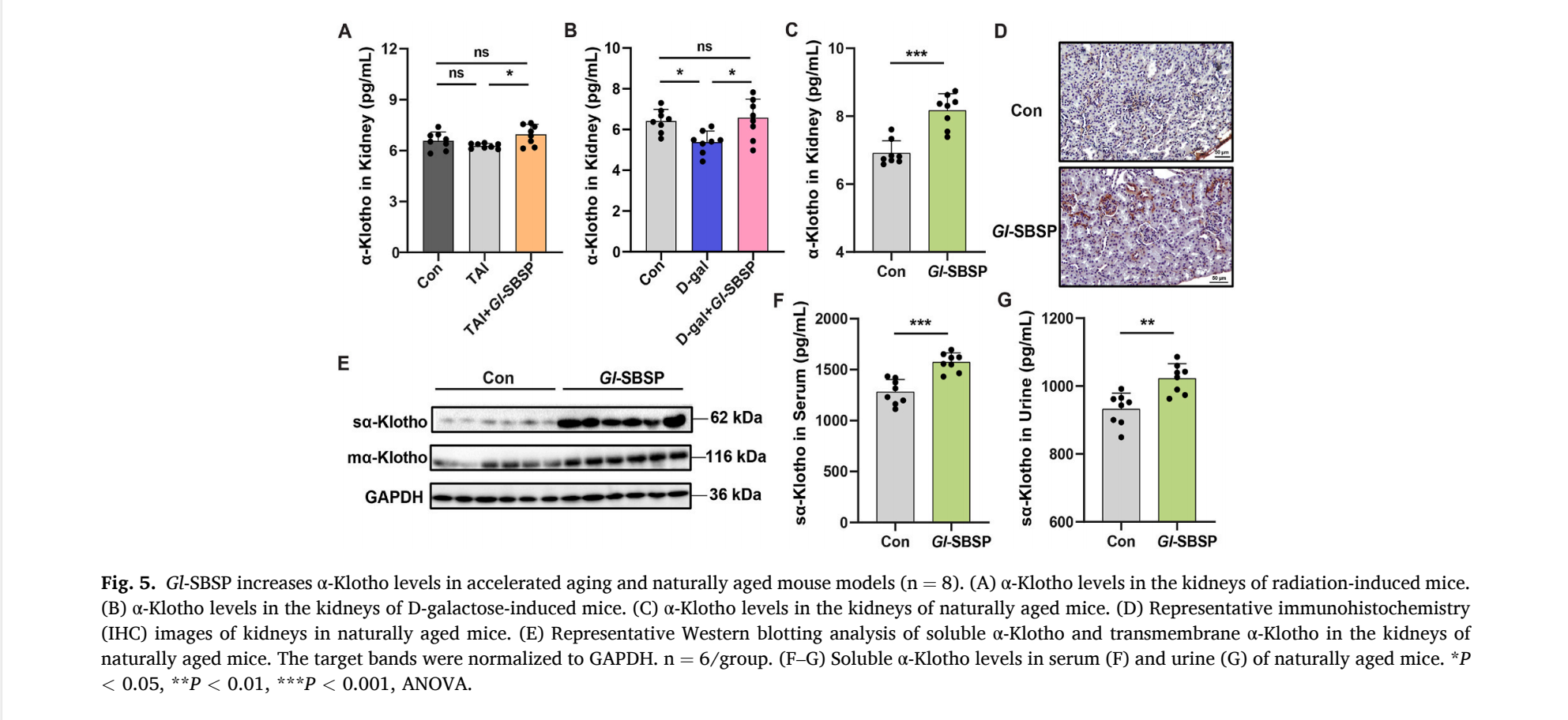 杭州亞運(yùn)會(huì)官方靈芝產(chǎn)品供應(yīng)商|杭州亞運(yùn)會(huì)官方供應(yīng)商|中國(guó)靈芝十大品牌|仙客來(lái)靈芝|仙客來(lái)靈芝破壁孢子粉|仙客來(lái)孢子油|仙客來(lái)靈芝飲片|仙客來(lái)破壁孢子粉|靈芝孢子油|孢子粉|靈芝破壁孢子粉|靈芝|中華老字號(hào)