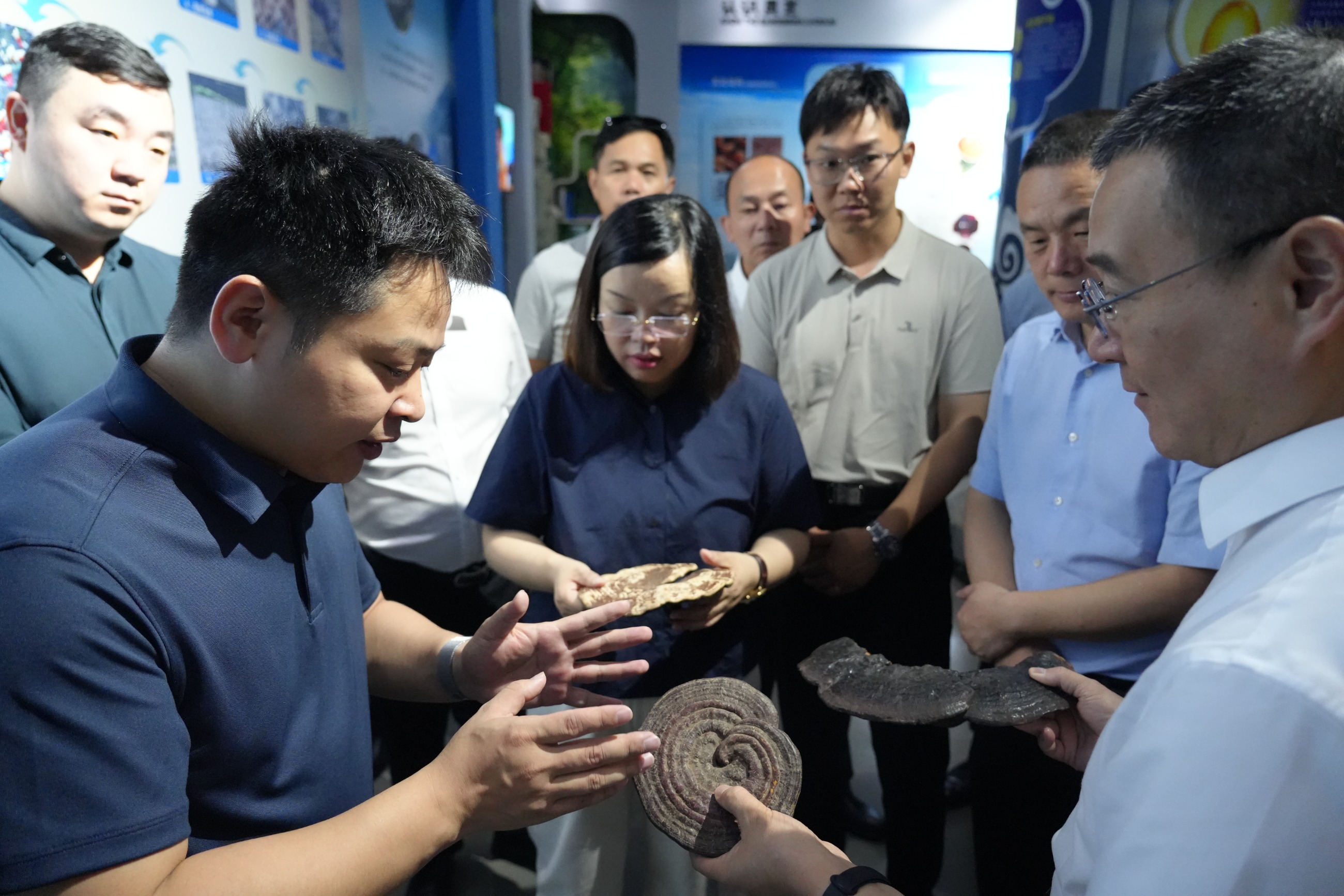 杭州亞運會官方靈芝產(chǎn)品供應商|杭州亞運會官方供應商|中國靈芝十大品牌|仙客來靈芝|仙客來靈芝破壁孢子粉|仙客來孢子油|仙客來靈芝飲片|仙客來破壁孢子粉|靈芝孢子油|孢子粉|靈芝破壁孢子粉|靈芝|中華老字號