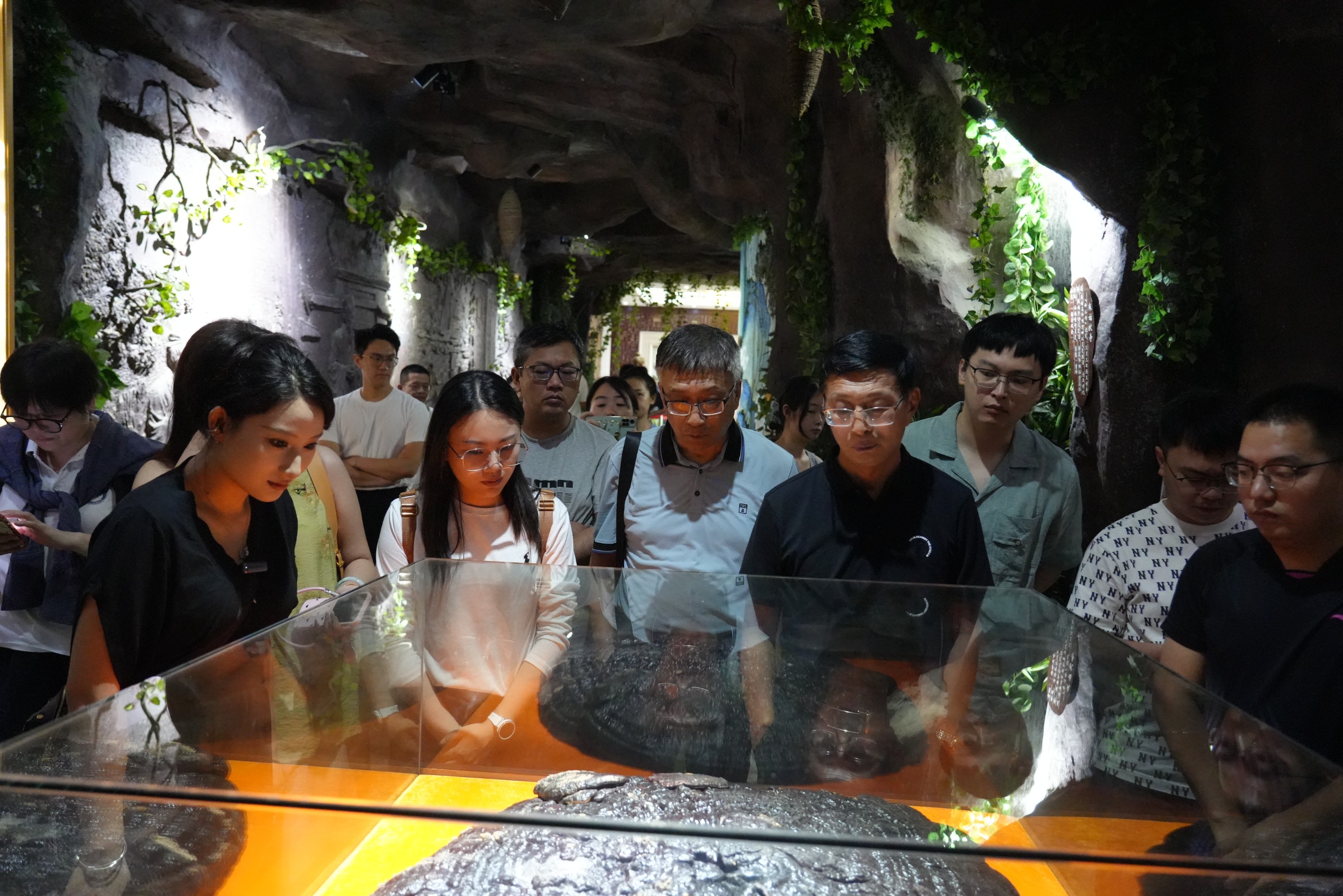 杭州亞運(yùn)會官方靈芝產(chǎn)品供應(yīng)商|杭州亞運(yùn)會官方供應(yīng)商|中國靈芝十大品牌|仙客來靈芝|仙客來靈芝破壁孢子粉|仙客來孢子油|仙客來靈芝飲片|仙客來破壁孢子粉|靈芝孢子油|孢子粉|靈芝破壁孢子粉|靈芝|中華老字號