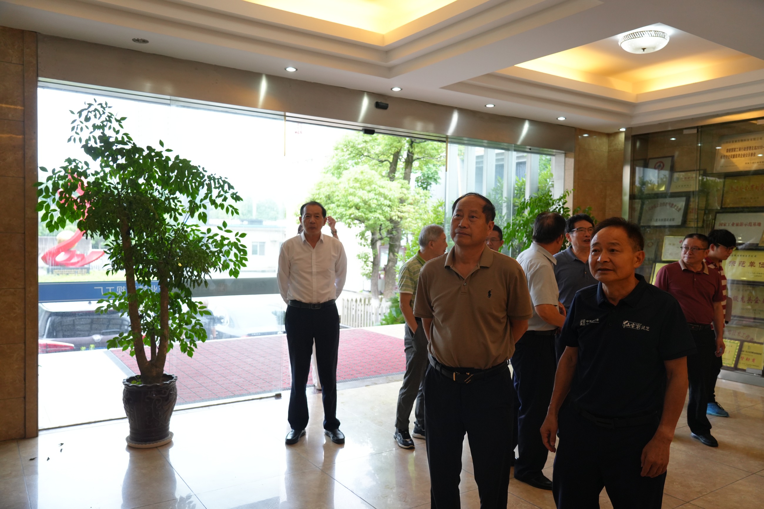 杭州亞運會官方靈芝產品供應商|杭州亞運會官方供應商|中國靈芝十大品牌|仙客來靈芝|仙客來靈芝破壁孢子粉|仙客來孢子油|仙客來靈芝飲片|仙客來破壁孢子粉|靈芝孢子油|孢子粉|靈芝破壁孢子粉|靈芝|中華老字號