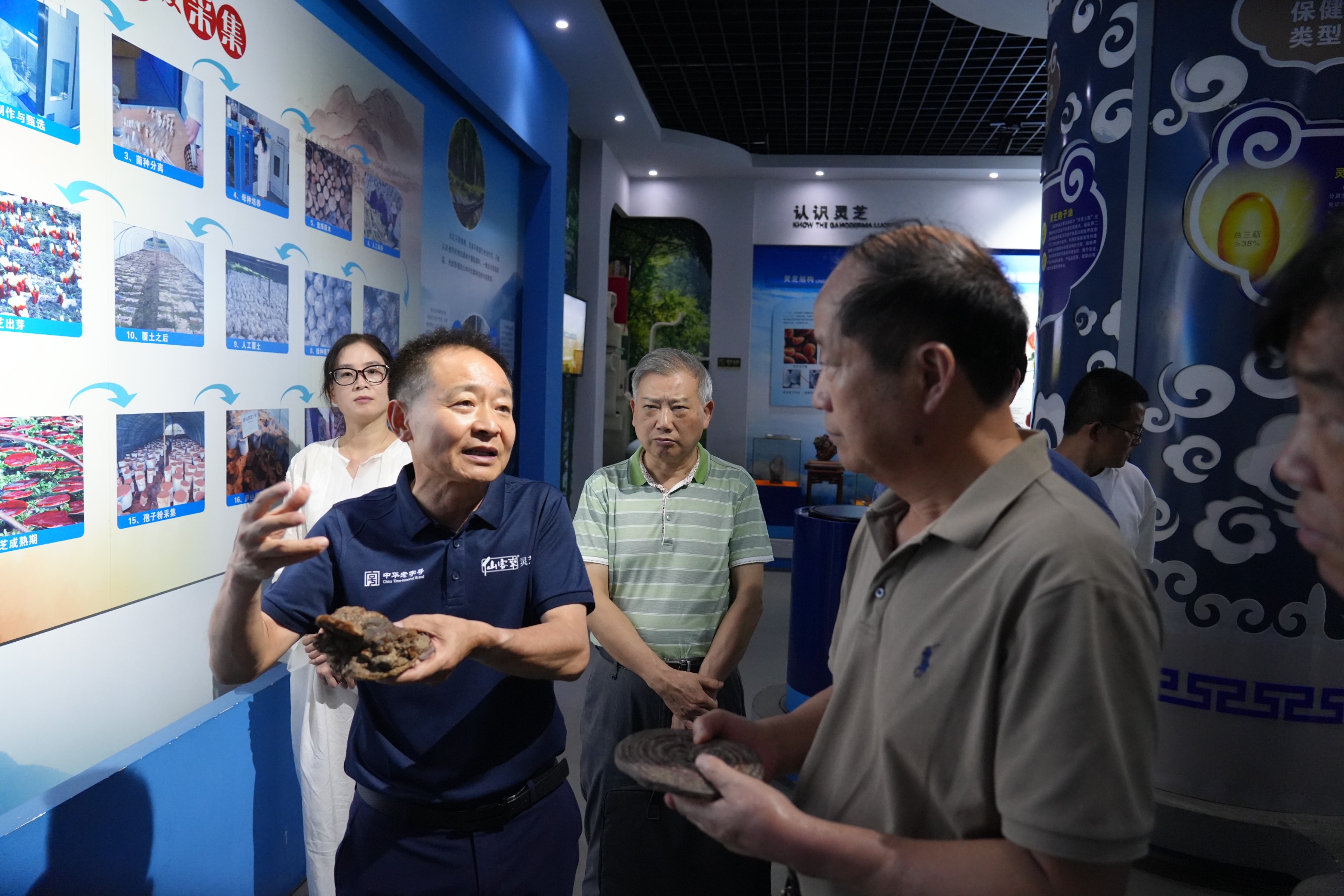 杭州亞運會官方靈芝產品供應商|杭州亞運會官方供應商|中國靈芝十大品牌|仙客來靈芝|仙客來靈芝破壁孢子粉|仙客來孢子油|仙客來靈芝飲片|仙客來破壁孢子粉|靈芝孢子油|孢子粉|靈芝破壁孢子粉|靈芝|中華老字號