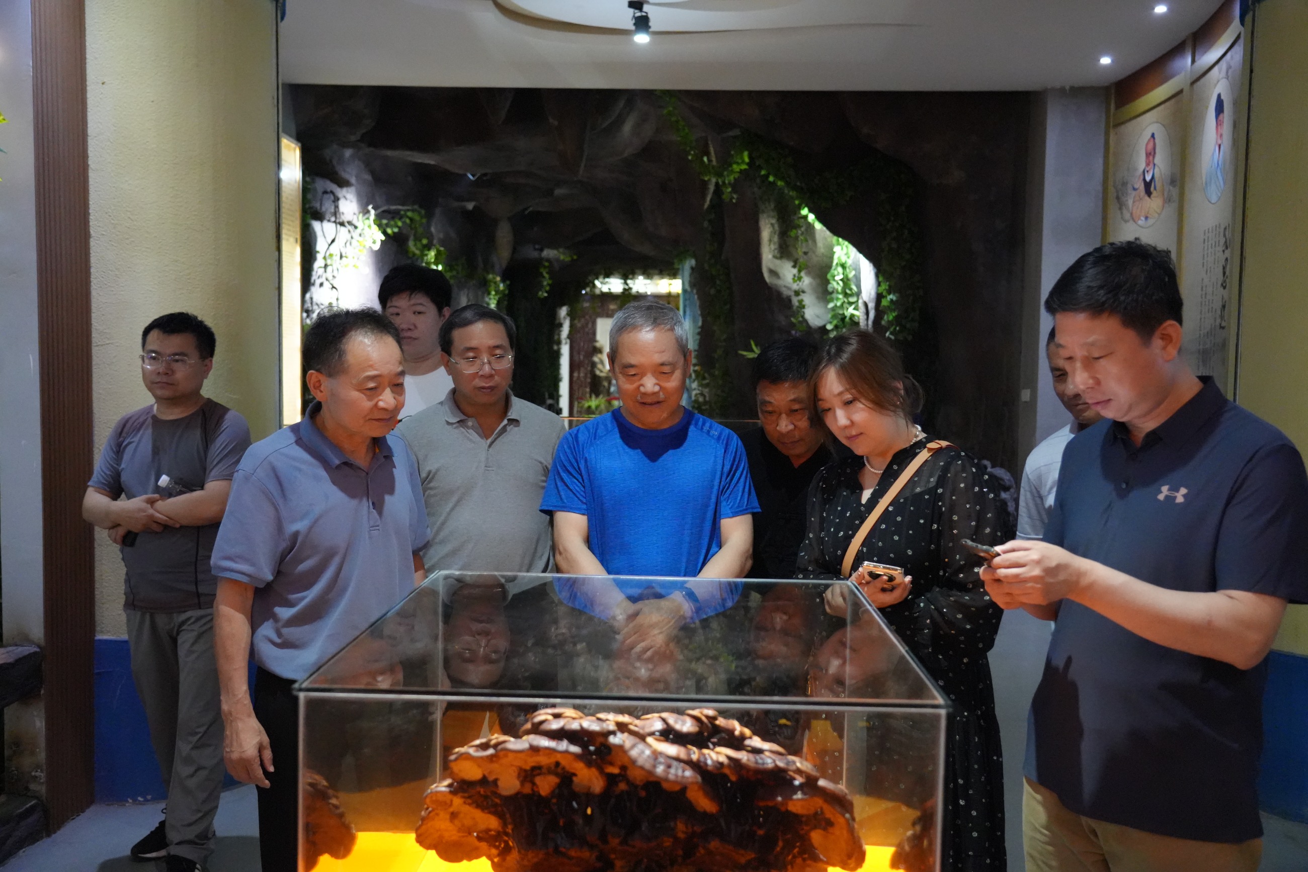 杭州亞運會官方靈芝產(chǎn)品供應商|杭州亞運會官方供應商|中國靈芝十大品牌|仙客來靈芝|仙客來靈芝破壁孢子粉|仙客來孢子油|仙客來靈芝飲片|仙客來破壁孢子粉|靈芝孢子油|孢子粉|靈芝破壁孢子粉|靈芝|中華老字號