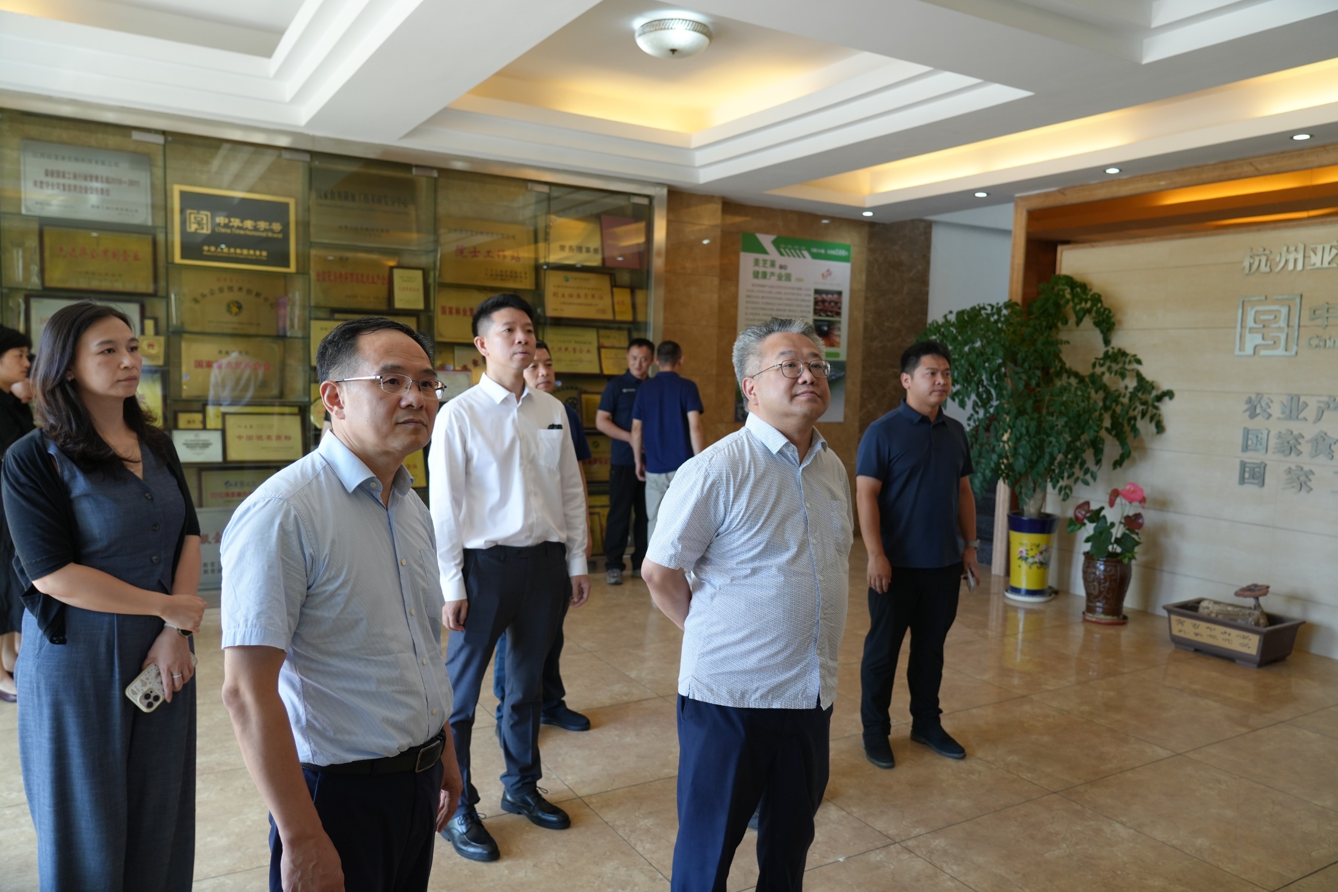 杭州亞運(yùn)會官方靈芝產(chǎn)品供應(yīng)商|杭州亞運(yùn)會官方供應(yīng)商|中國靈芝十大品牌|仙客來靈芝|仙客來靈芝破壁孢子粉|仙客來孢子油|仙客來靈芝飲片|仙客來破壁孢子粉|靈芝孢子油|孢子粉|靈芝破壁孢子粉|靈芝|中華老字號