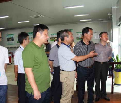 德安縣委、人大、政協(xié)領(lǐng)導(dǎo)考察仙客來公司