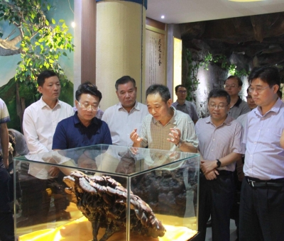 &ldquo;降成本，優(yōu)環(huán)境&rdquo;助企業(yè)騰飛&mdash;&mdash;江西省政協(xié)副主席率團調(diào)研仙客來！