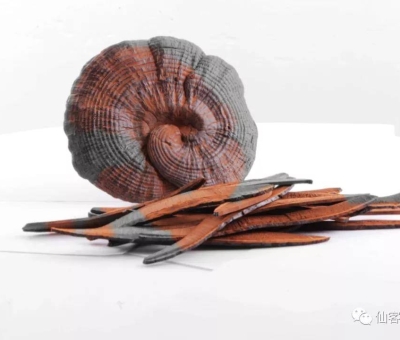 先，鮮，仙，一杯飲盡天下鮮。