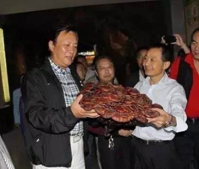 這樣過三月才是人生贏家！