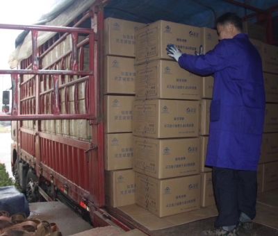 【4天加班15次缺貨】只為人皆有“芝”！