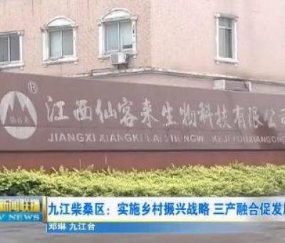 中國人只需要“別具”，缺失了“匠心”！