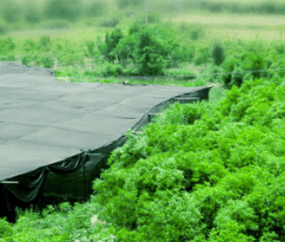 感謝廬山吧，這會是一場“仙旅情緣”