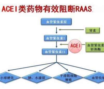 不吃藥，能降低高血壓？