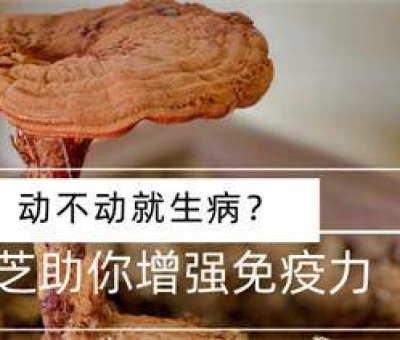 冬病夏治-如何調(diào)養(yǎng)身體？