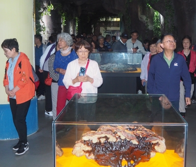 深深靈芝情！中華全國供銷合作總社再訪仙客來