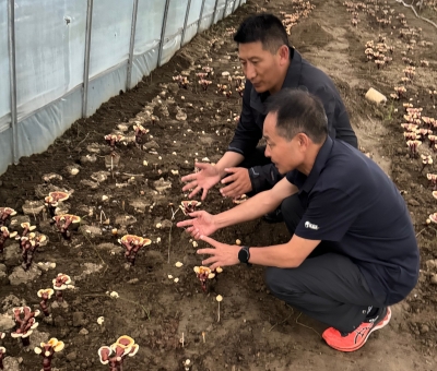助力少數民族地區(qū)發(fā)展！潘新華應邀前往西藏拉薩市和林芝市 共商產業(yè)發(fā)展良策
