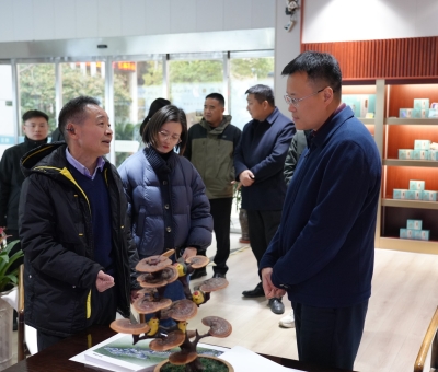 盛煒書記蒞臨仙客來調研